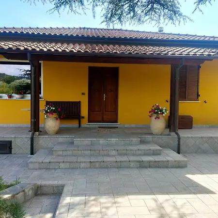 La Casa Del Cedro