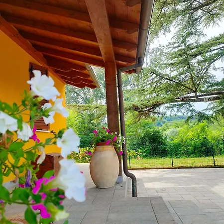 La Casa Del Cedro