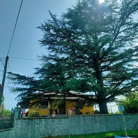 La Casa Del Cedro *