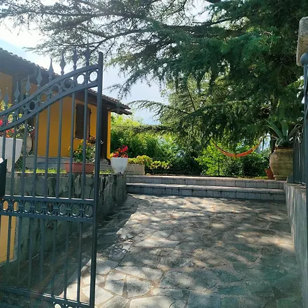 La Casa Del Cedro *