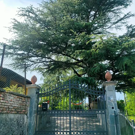 펜션 La Casa Del Cedro