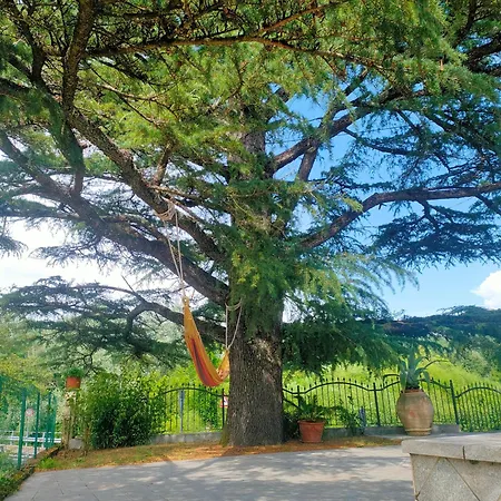 펜션 La Casa Del Cedro Serricciolo