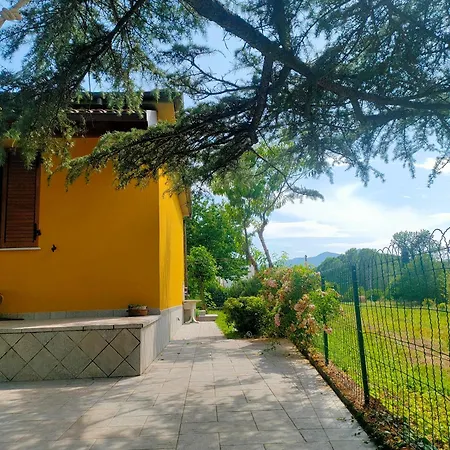 La Casa Del Cedro 펜션